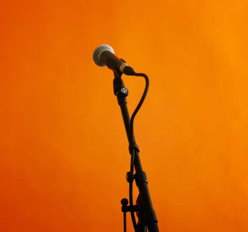 Rental Microphone & Stand Hire